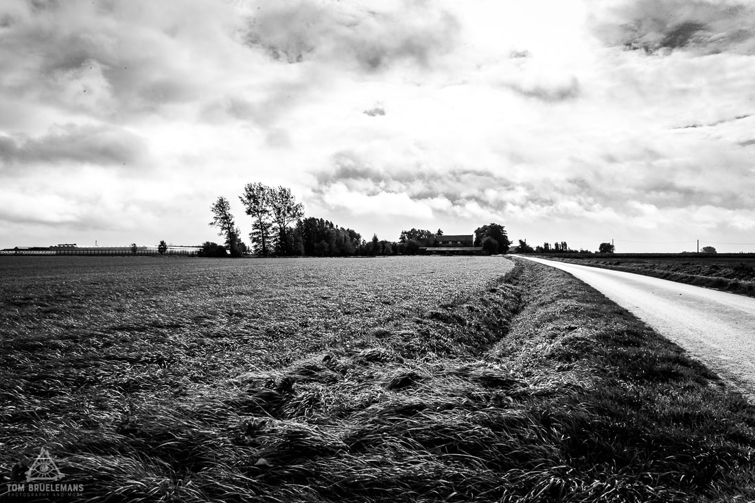 Poelkapelle. Photo taken on the road between Bray Farm and Varlet Farm. View towards Varlet Farm.