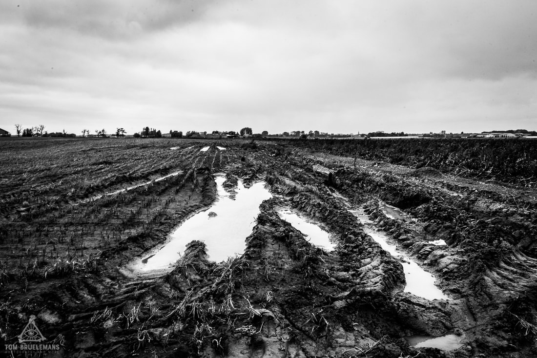 WWI, Poelkapelle, Belgium today, mud